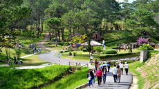 Da Lat holds summer activities