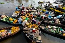 Ben Tre to hold fruit festival