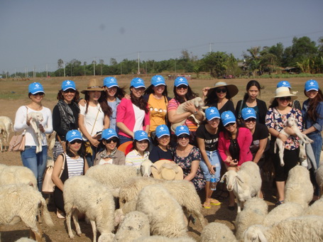 Tour hè siêu khuyến mãi tại OSC Việt Nam Travel