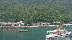 Touring Cham Islet at night